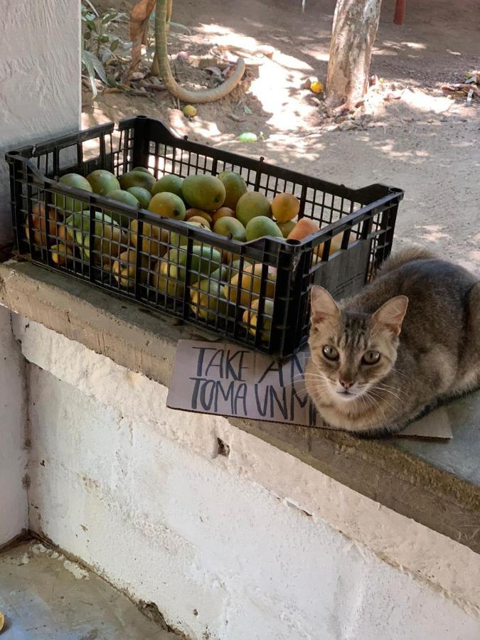مازونتي Posada La Huerta المظهر الخارجي الصورة