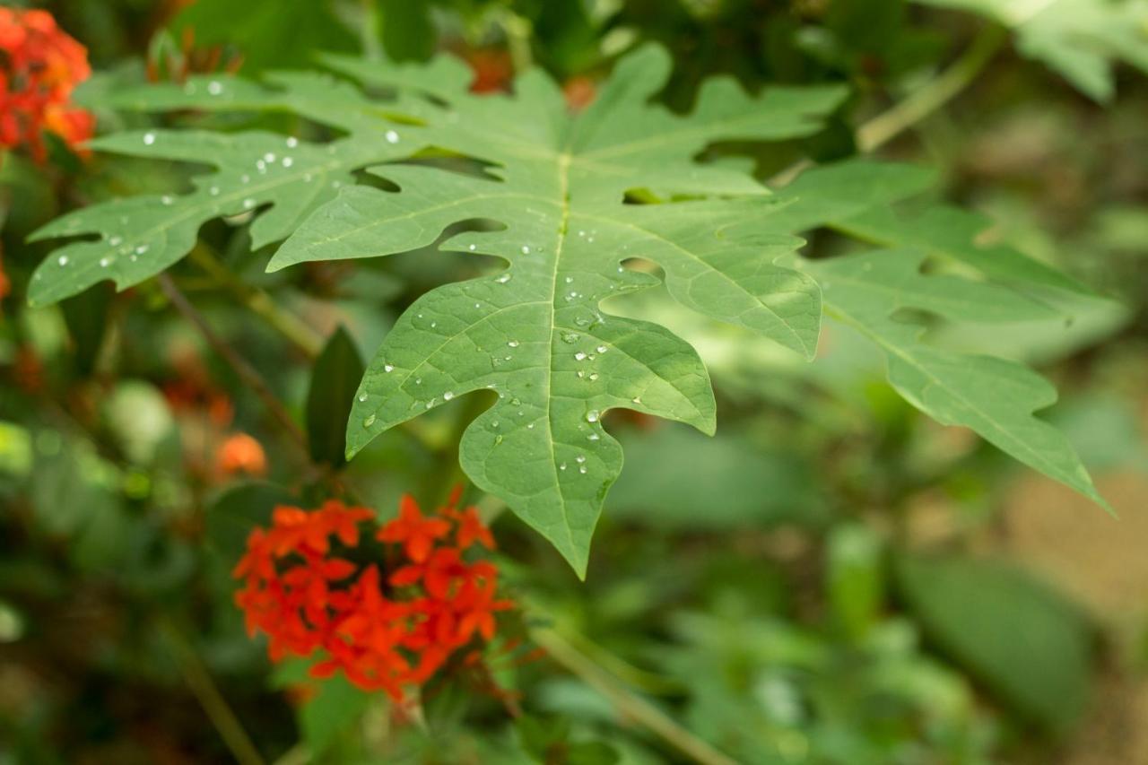 مازونتي Posada La Huerta المظهر الخارجي الصورة